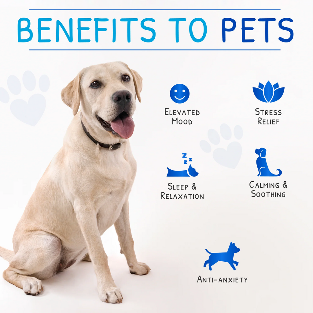 Zen Pet - Calm Drops