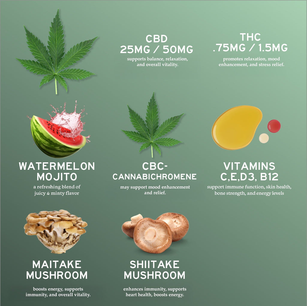 20-Pack: CBD-Multi Vitamin Gummies