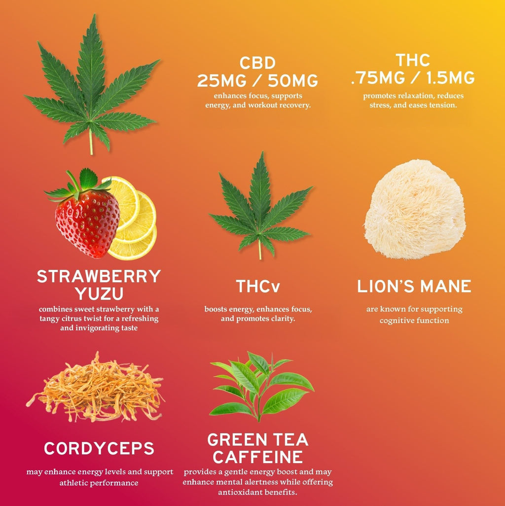 6-Pack: Alchemy Naturals CBD Uplift Gummies for Mood and Workout