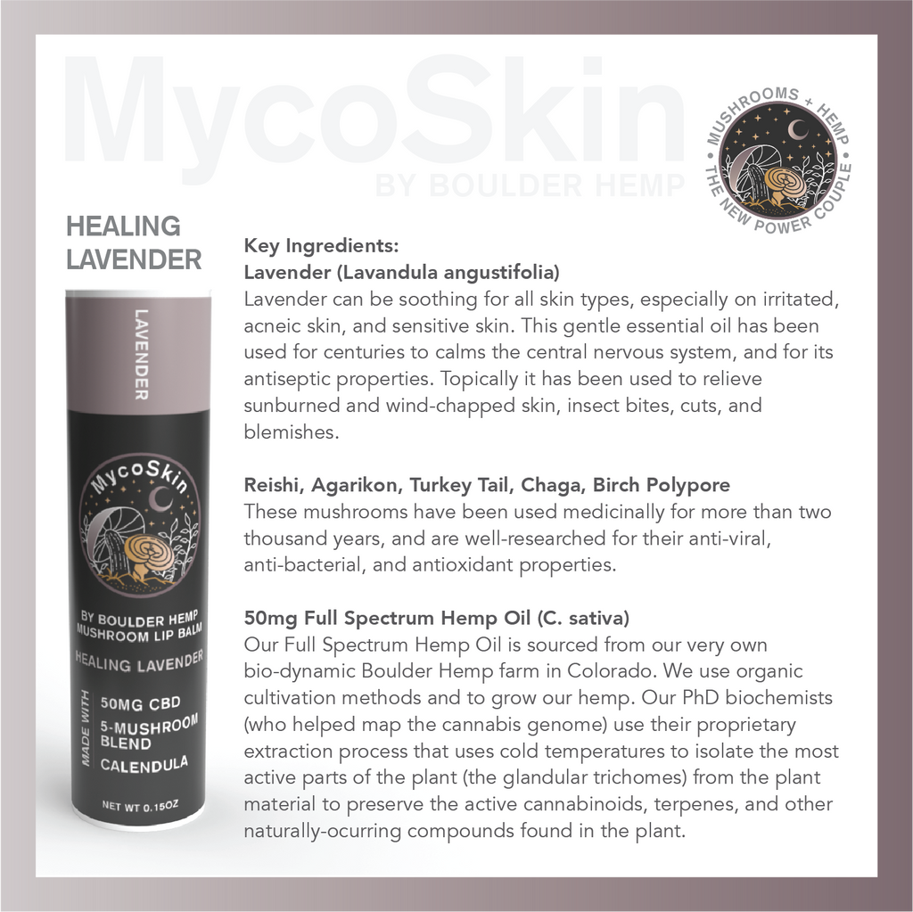 Wholesale Healing Lavender 50mg CBD + Mushroom Lip Balm