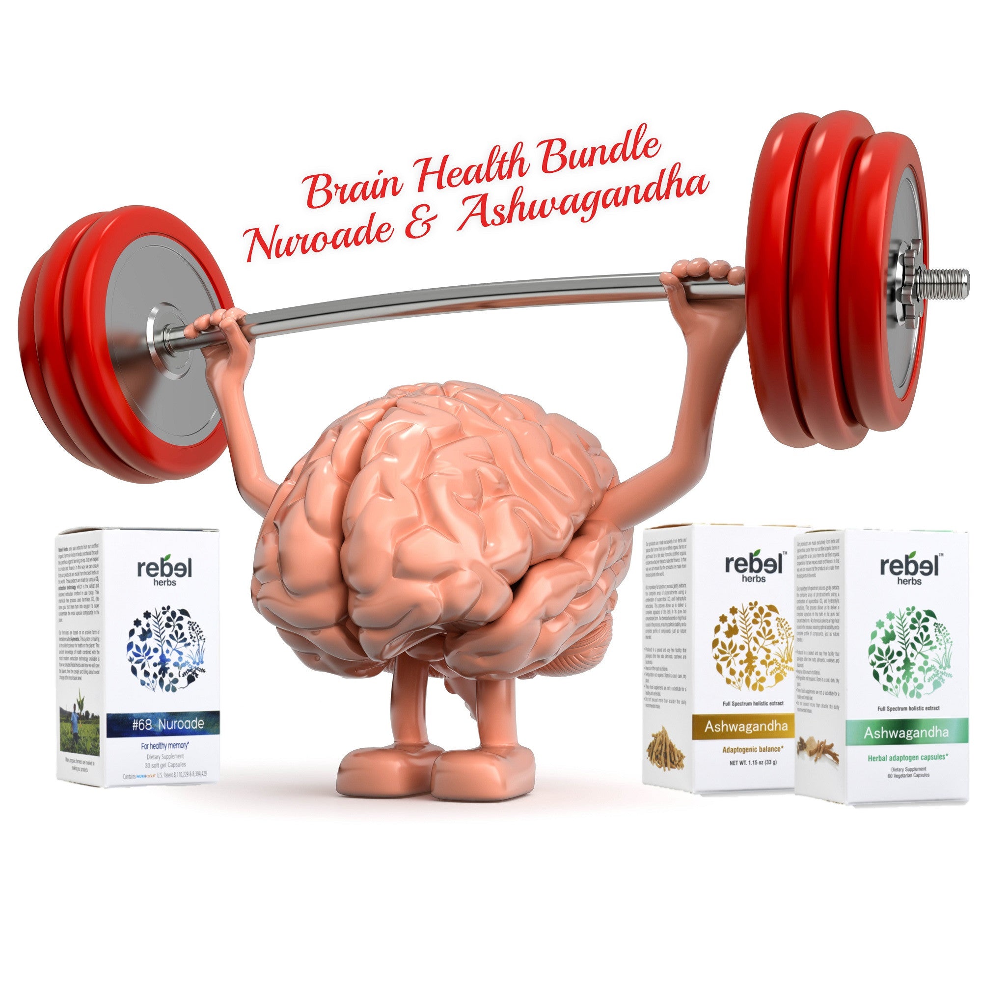 Brain & Stress Bundle