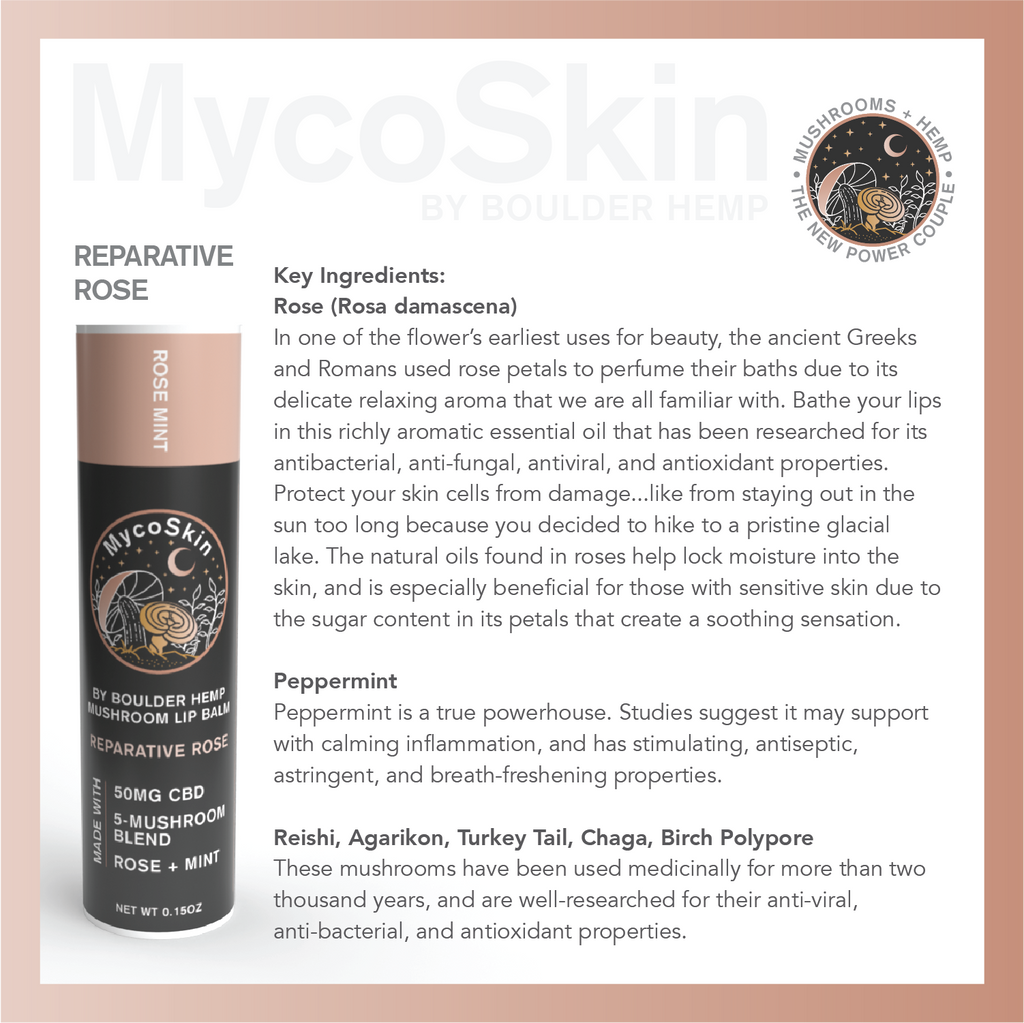 Wholesale Reparative Rose 50mg CBD + Mushroom Lip Balm