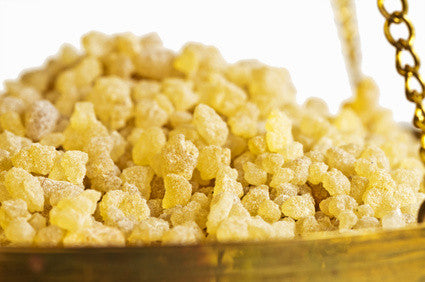 Boswellia Dual Extracted Powder