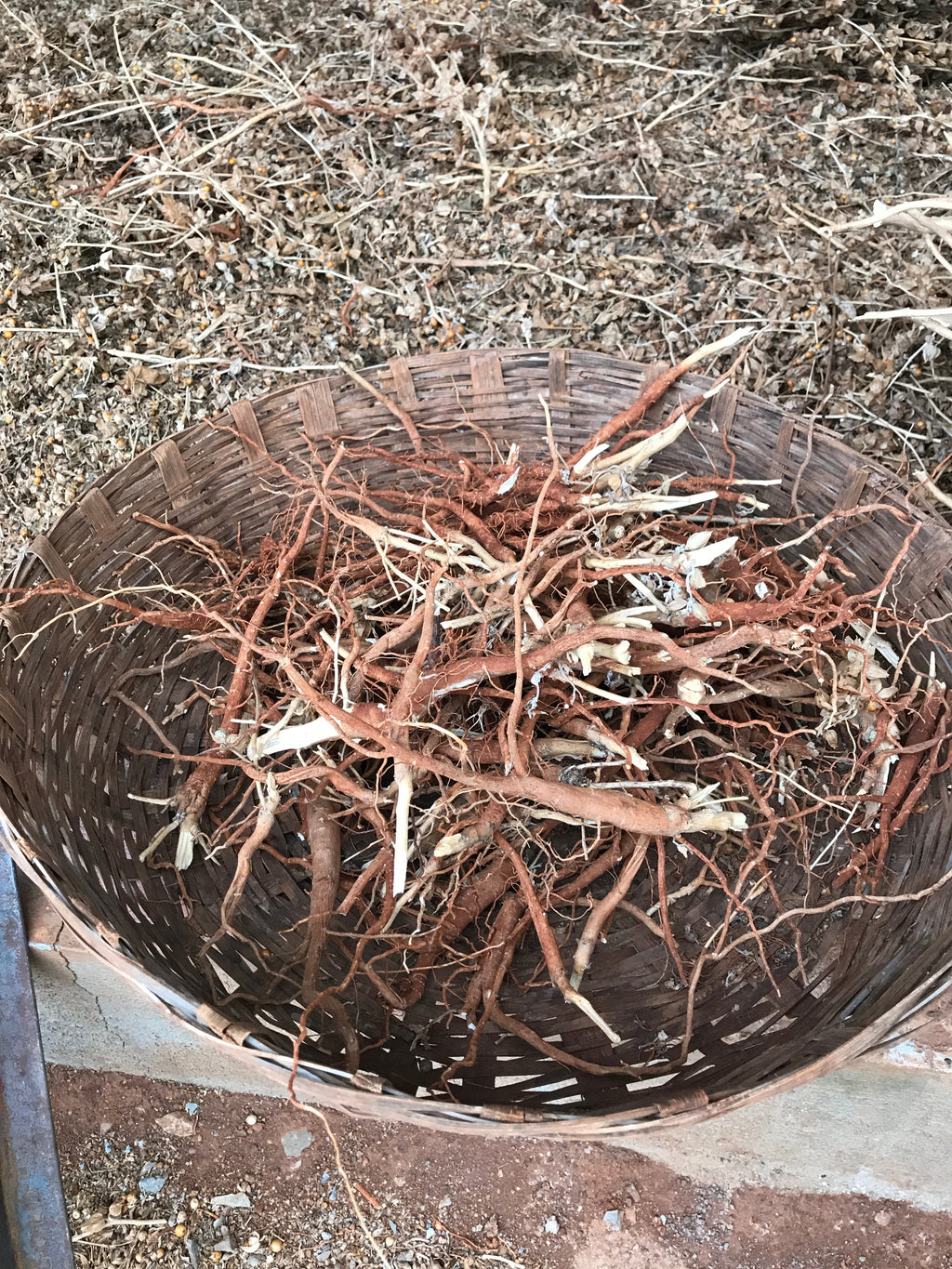 Ashwagandha Capsules