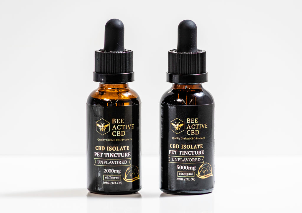 Bee Active CBD Pet Tincture – Unflavored