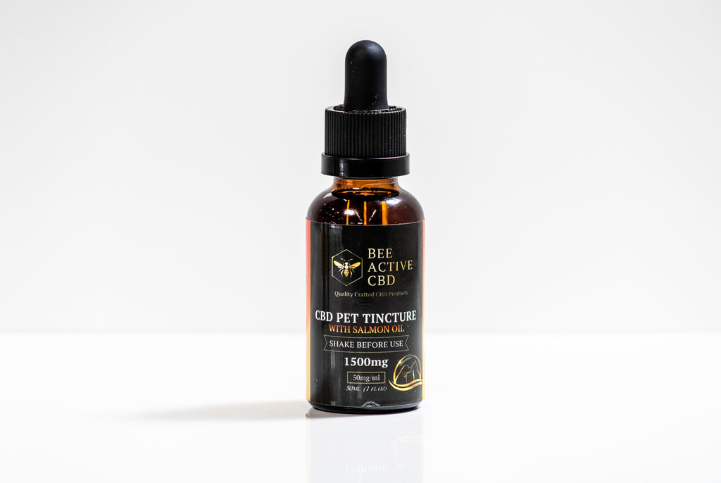 Bee Active CBD Pet Tincture – Salmon Flavor