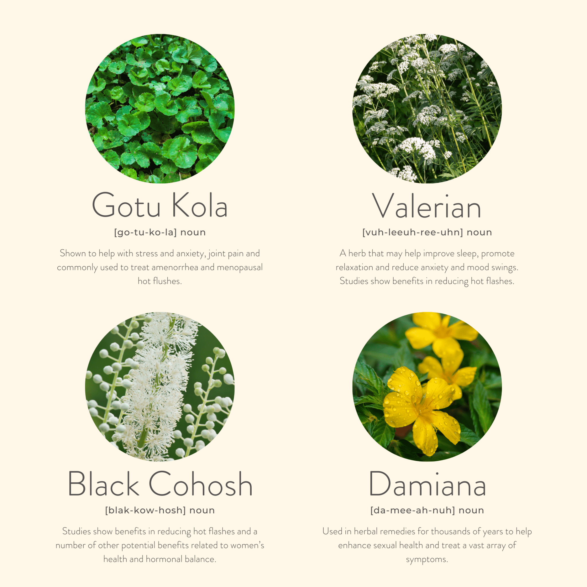 Menopause Balance Patches