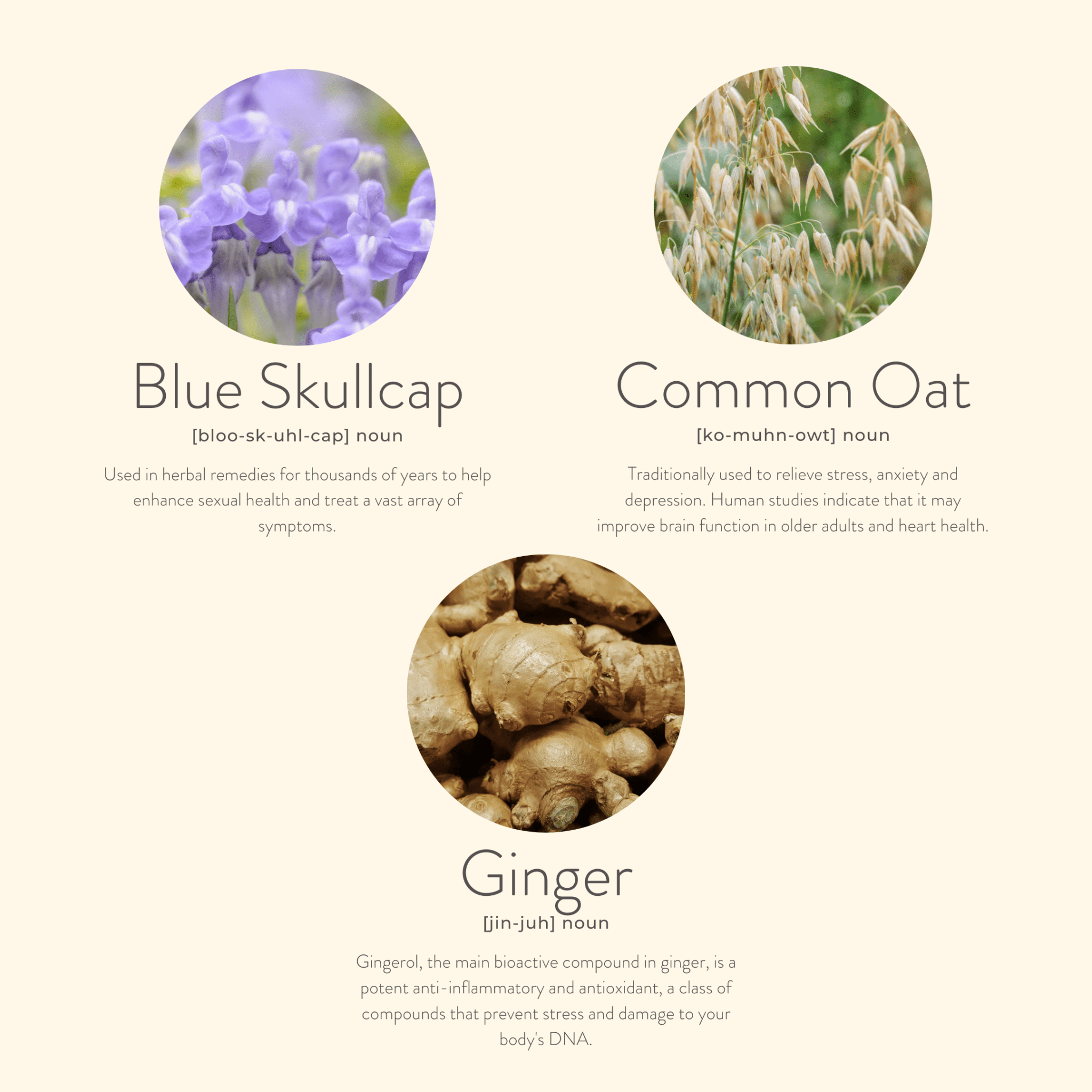 Menopause Balance Patches